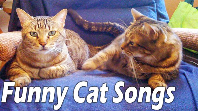 Geek Pub Songs #167: Funny Cat Songs