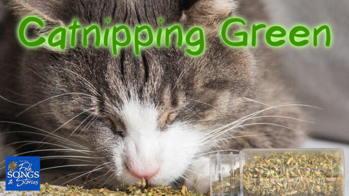 Folk Songs & Stories #302: Catnipping Green